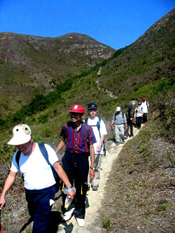 八 仙 嶺 的 山 徑