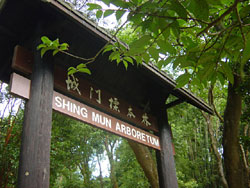 標 本 林