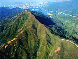 針 山