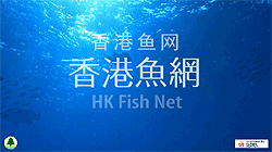  圖 