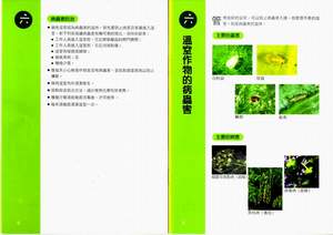 溫室作物的病蟲害  （ PDF 格 式 ）