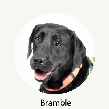 Bramble Profile