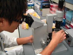疾 病 監 控 組