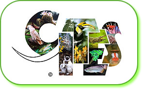 CITES LOGO