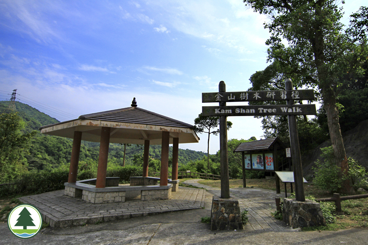 Kam Shan Tree Walk