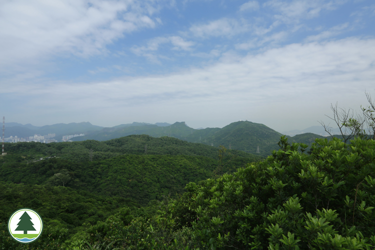 View of Lion Rock from Kam Shan