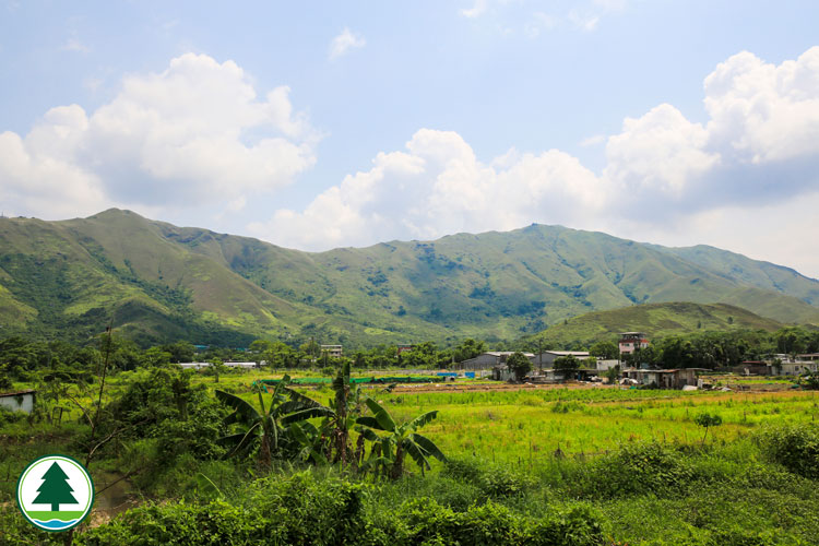 Kai Kung Leng