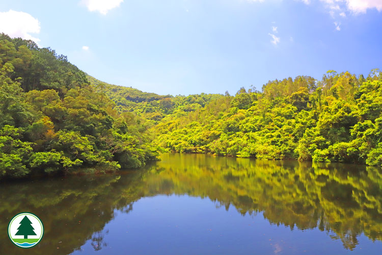 Hok Tau Reservoir