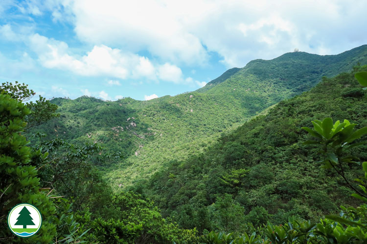 Overlooking Mount Parker from Hong Pak Country Trail