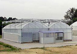 Introduction of Controlled Environment Greenhouse
