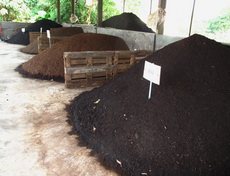 Compost