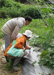 Farm visit