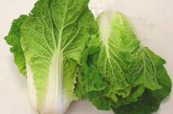 Cultivation of Chinese Cabbage