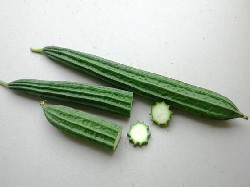 Angular Silky Gourd