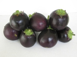 Round eggplant