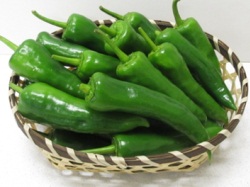Long-horn pepper