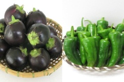 Round Eggplant and Long-horn Pepper