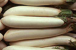 Cultivation of White Eggplant (Chinese Version Only)