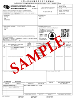 Licence Sample