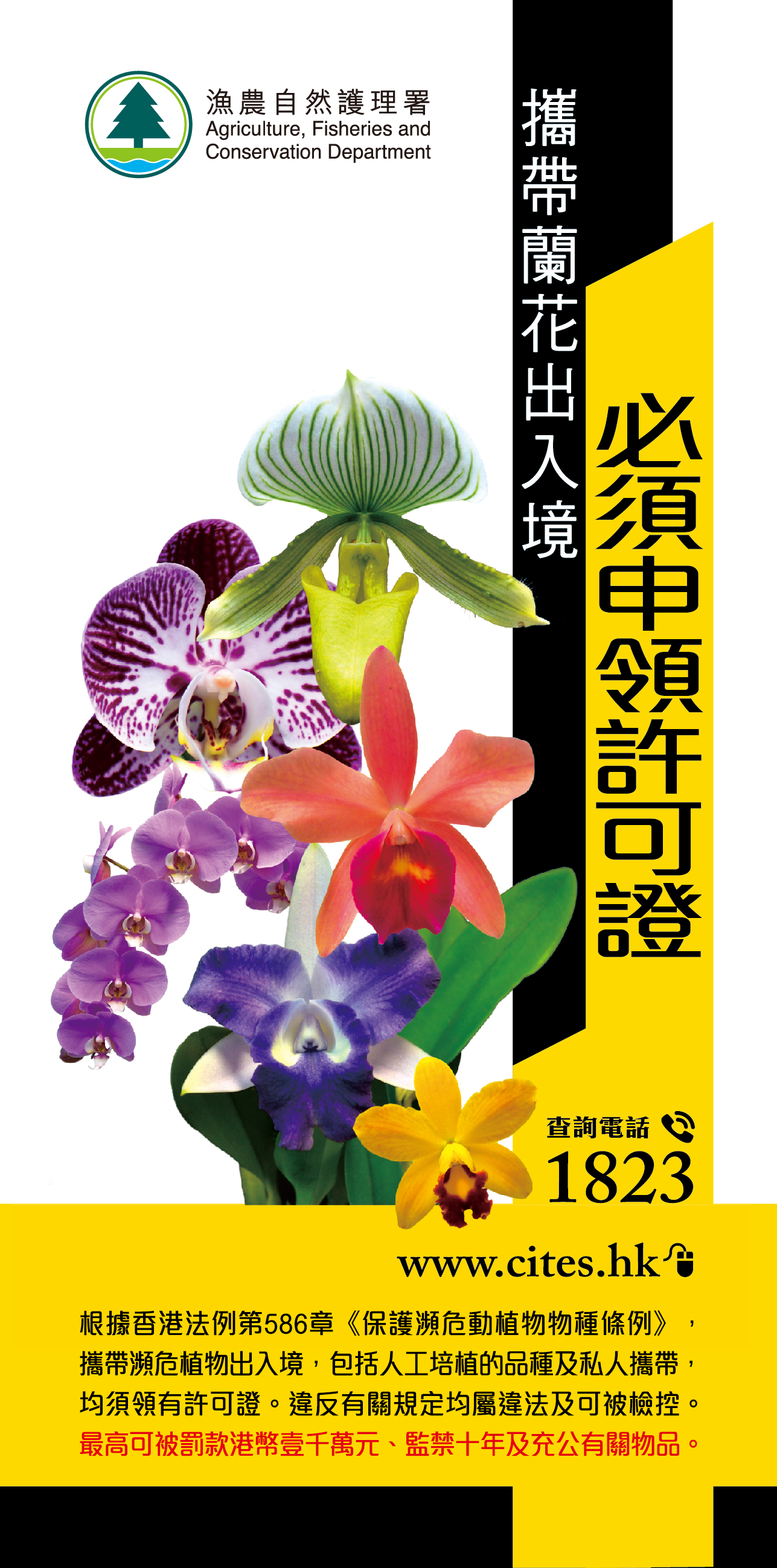 Pamphlets - Orchid