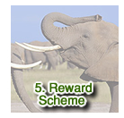 Reward Scheme
