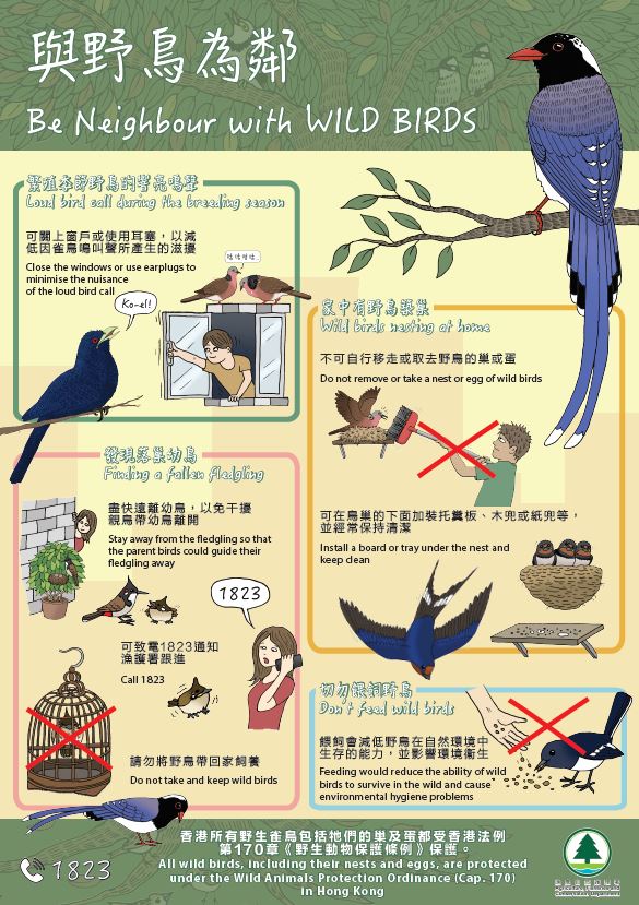 Be Neighbour with Wild Birds - Poster
