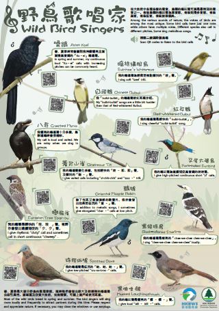 Wild Bird Singers - Poster
