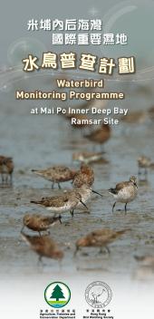 Waterbird Monitoring Programme at Mai Po Inner Deep Bay Ramsar Site