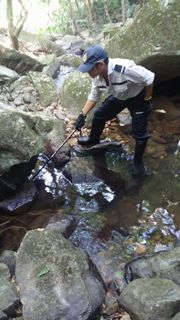 Searching for illegal traps
