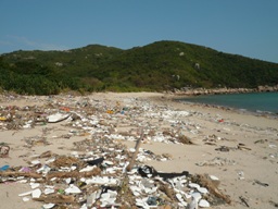 Marine garbage kept deposited on Sham Wan, Lamma Island by marine current in 2008 summer