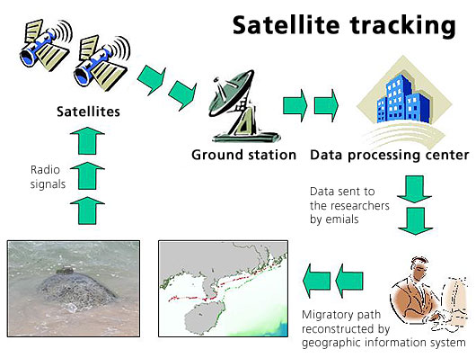 Mechanism of satellite tracking