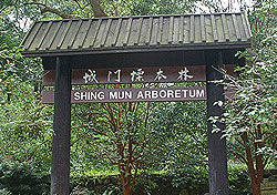 Shing Mum Arboretum 