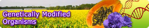 Genetically Modified Organisms