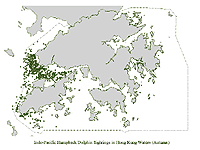 Local Distribution