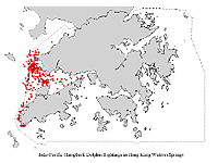 Local Distribution