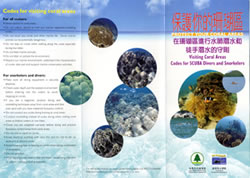 Leaflet 1