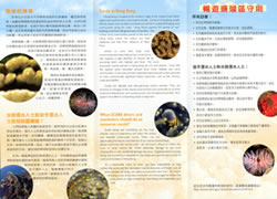 Leaflet 2