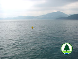 Maker buoy