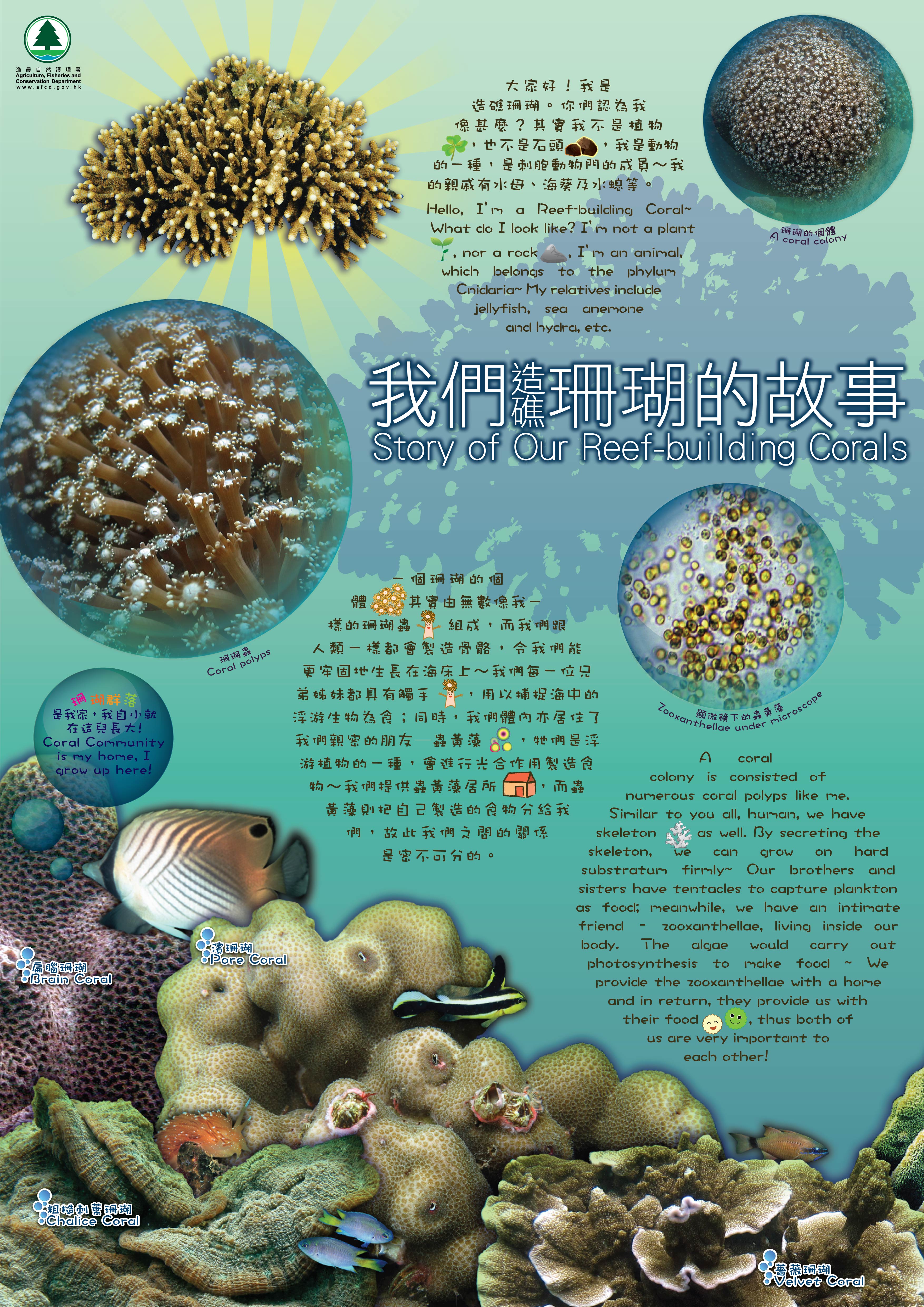 Story of our Reef-building Corals 1