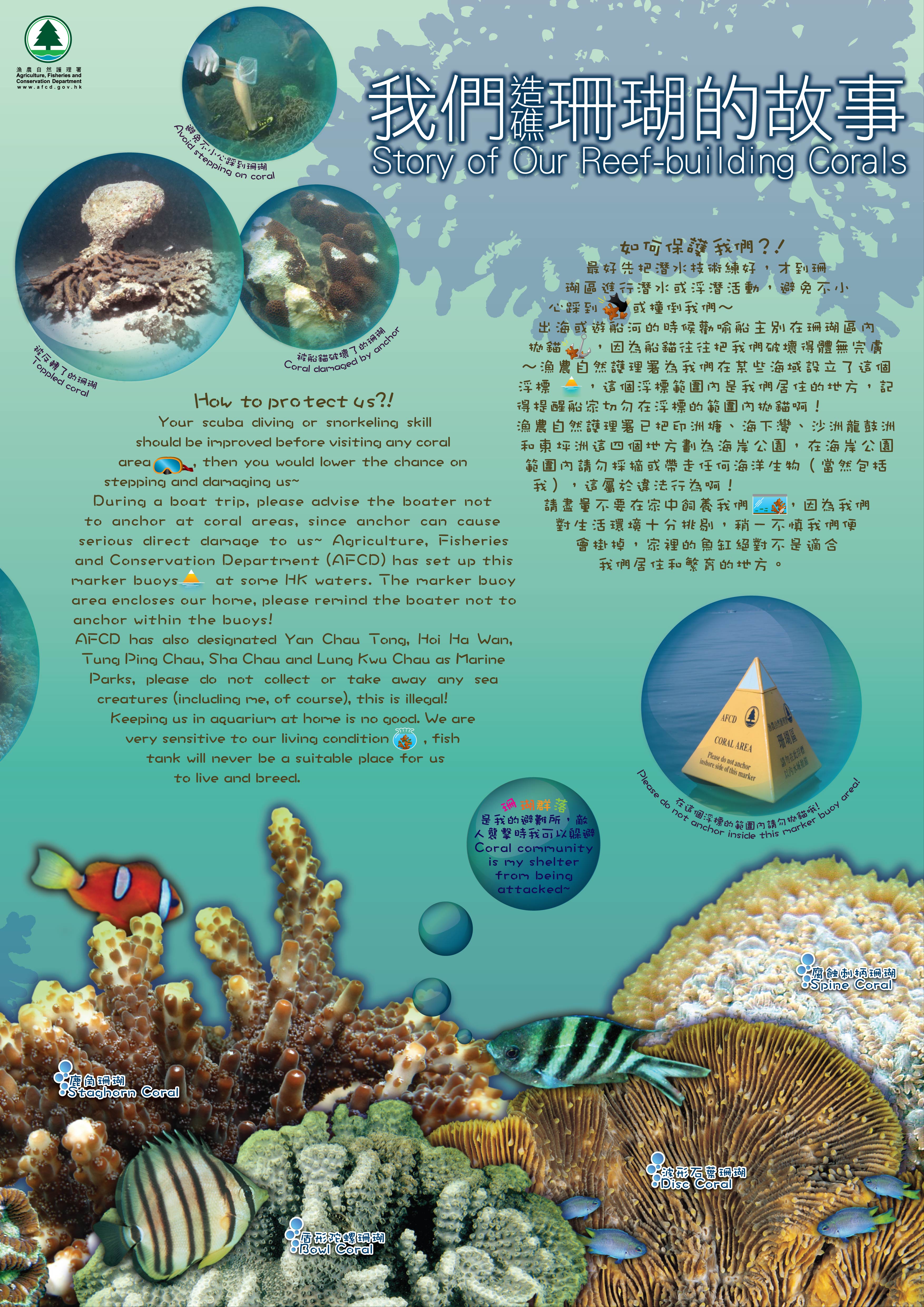 Story of our Reef-building Corals 3