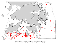 Distribution in Spring 