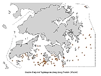 Distribution in Winter