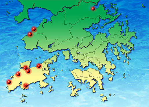 Local distribution of juvenile horseshoe crabs