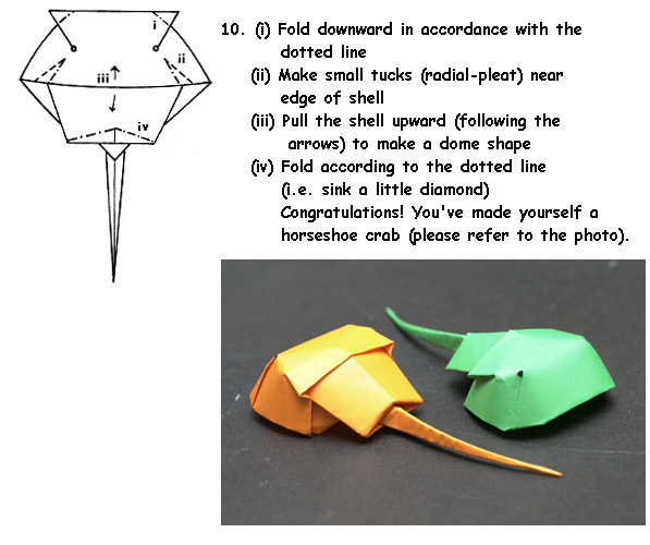 Make Yourself a Horseshoe Crab