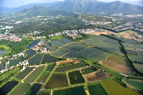 Wetlands in Hong Kong