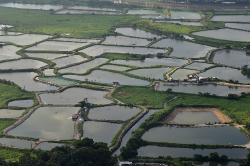 Wetlands in Hong Kong