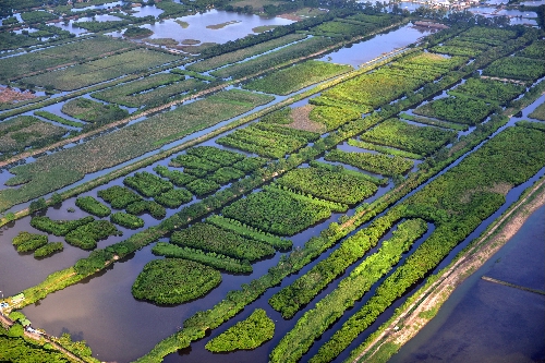 Wetlands in Hong Kong