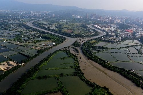 Wetlands in Hong Kong