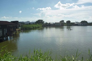 Fish Pond