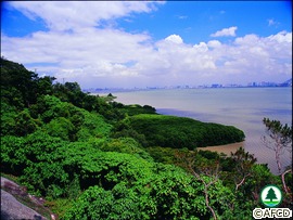 Tsim Bei Tsui